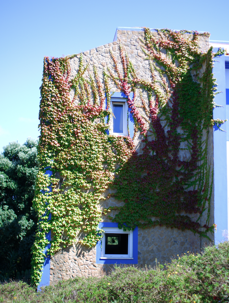 Screenshot 2025-10-20 at 12.42.31