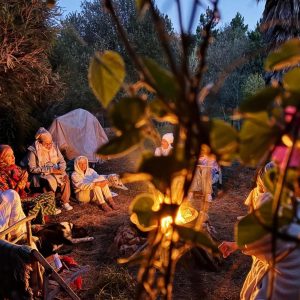 79b22d77-ee05-48ec-b983-8e38828d91f6